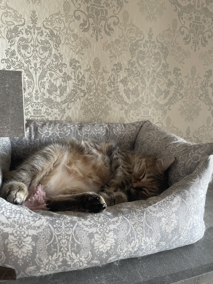 � ��� ��� ������ ����😉