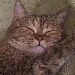 solnechniysvet