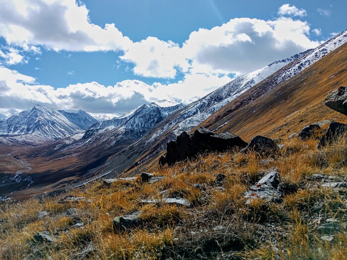 �� ������ �������