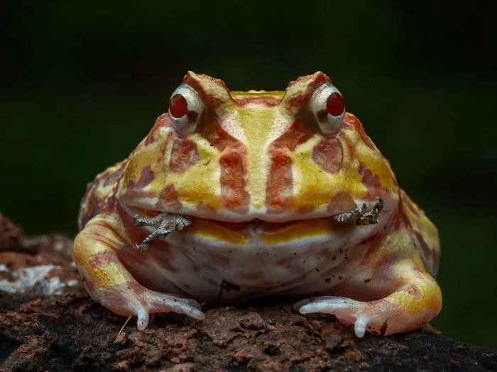 �� ��� ������ �������, ����������� ������, � ����� �������