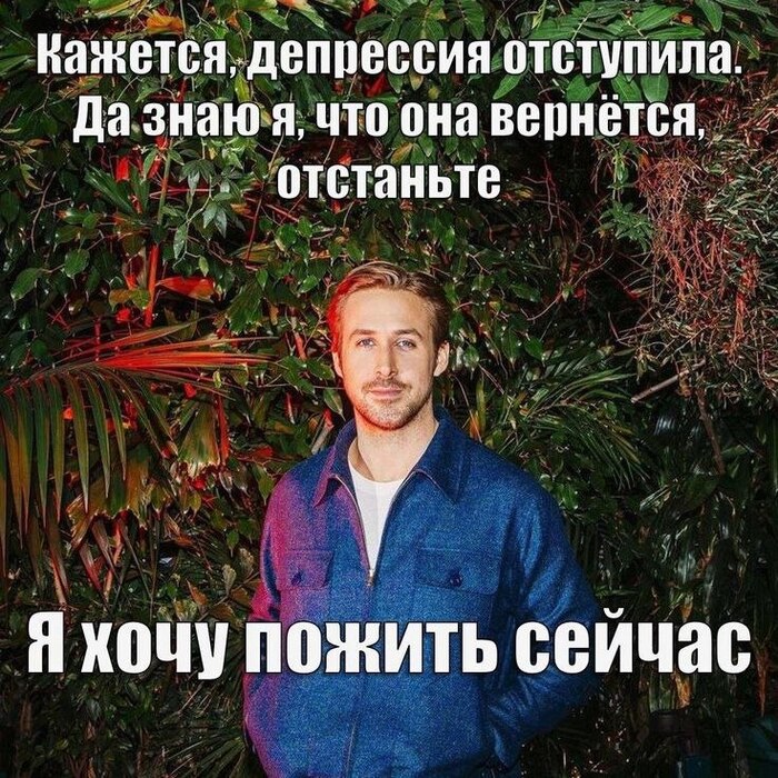 � � ���� ������������