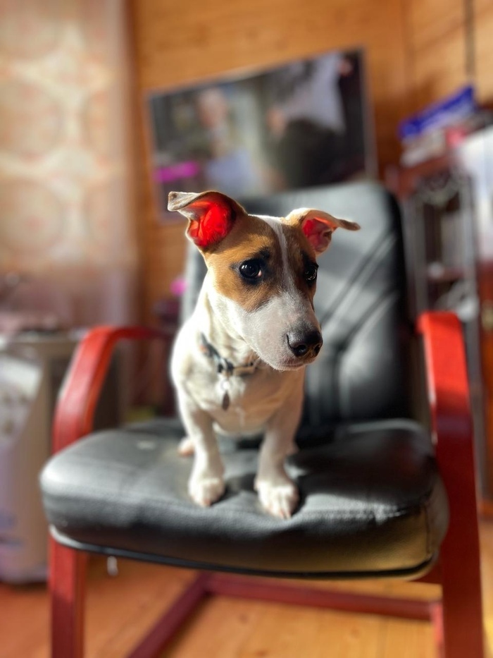 ����� ���������