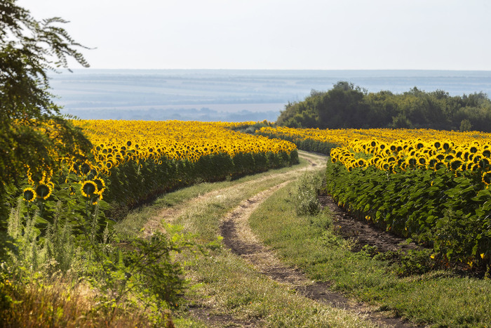 ����� � �����������