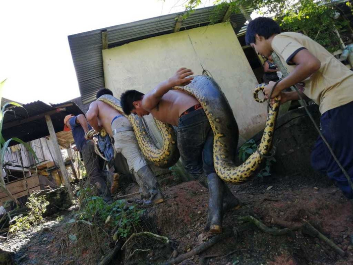 Тот самый друг, который обещал тусоваться до 4 утра, а в итоге вырубился к 11 ночи.