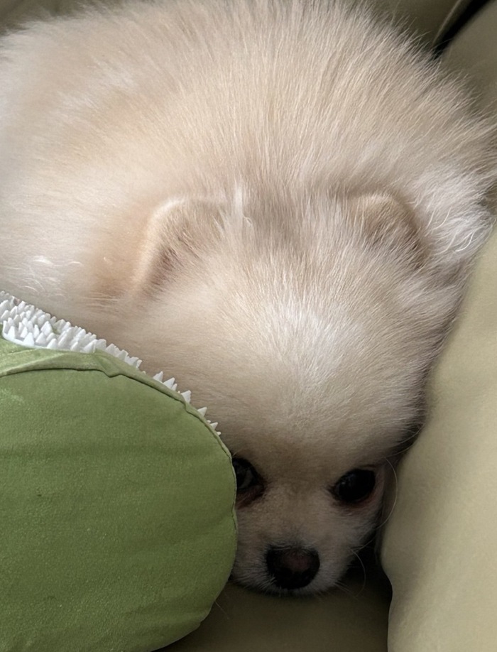 ���� � ������