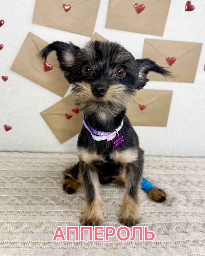 �������� ����������, ����������� � ����� ������ ���!