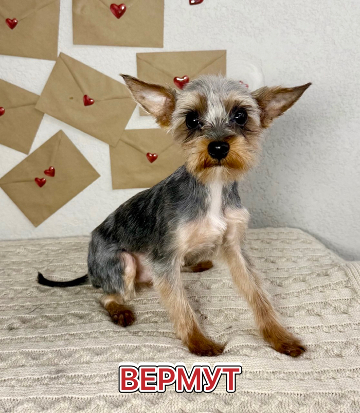 ������ ����������, ����������� � ����� ������ ���!