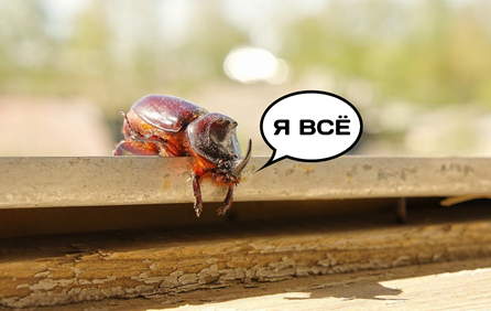 ��������� ���� �������, ���-���������