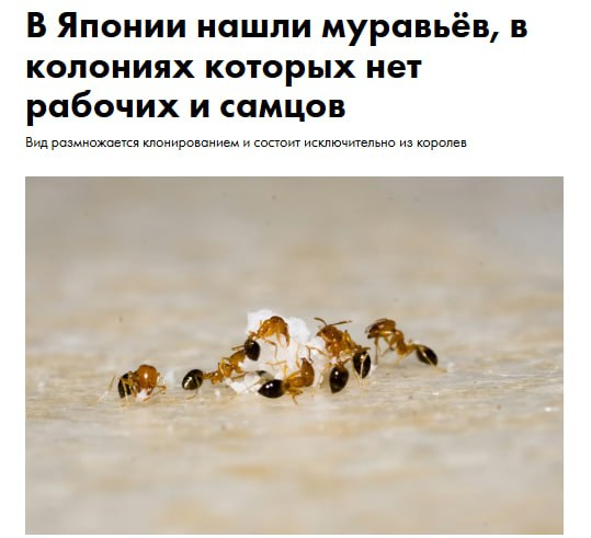 Аналог социальных паразитов в человеческом обществе