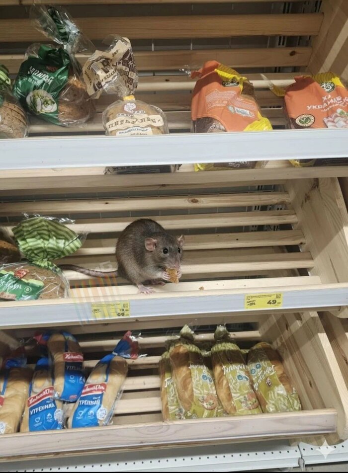 ����� �� ���� ������ ���� ��� ����, � �� �����������