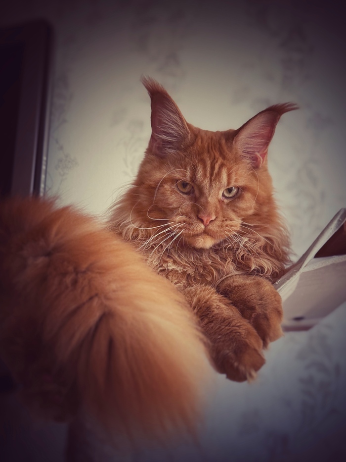 ��� ������ ������� �� ���������� ���� � ������ ����� ���������� ��� �����������. 