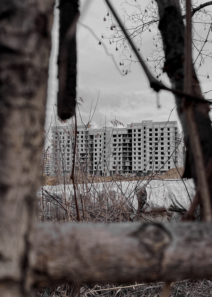 ����� �������� �������� � ���������� <!--noindex--><a href="https://pikabu.ru/story/rayon_budushchikh_cheloveynikov_khabarovsk_voronezhskaya_13733625?u=http%3A%2F%2Ffoto-27.ru&t=foto-27.ru&h=c4dc76c26257bb313f0b0a64ab74262f5d50ea62" title="http://foto-27.ru" target="_blank" rel="nofollow noopener">foto-27.ru</a><!--/noindex-->