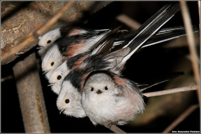 Компания, на которую ты бы хотел нарваться в тёмной подворотне.