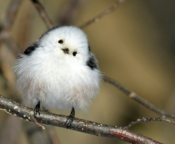 Когда бабушка попросила прополоть грядку, и ты пытаешься не спалиться, что вместе с сорняками вырвал саженцы огурцов.