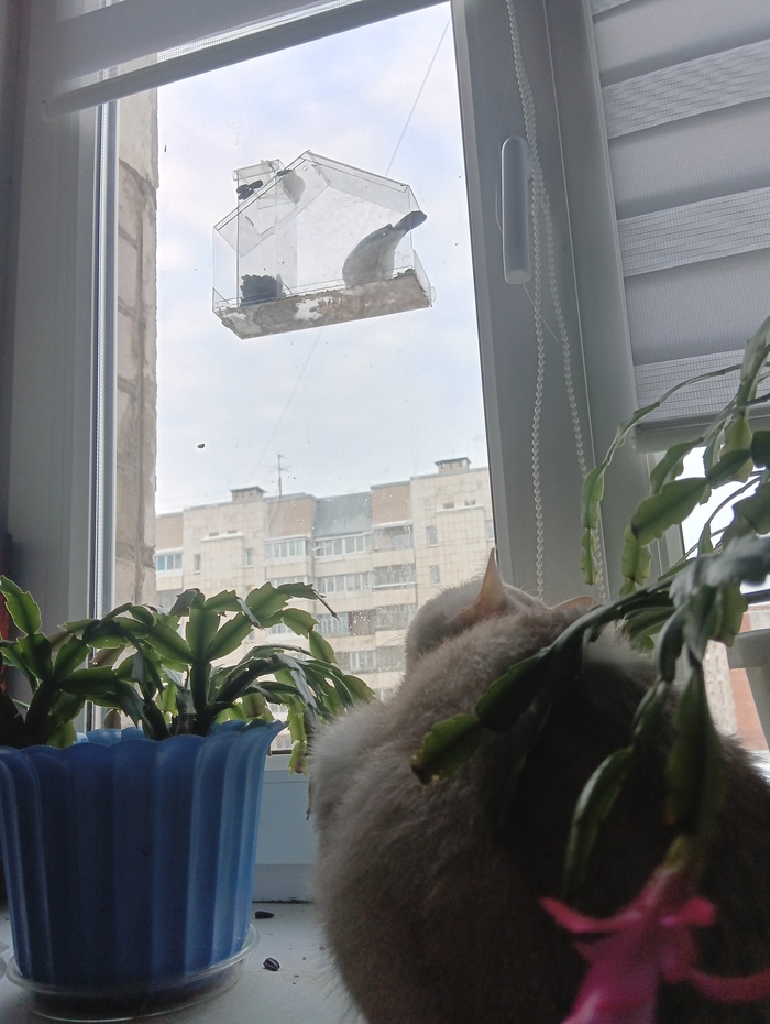 ����� � ������ �������