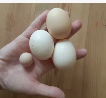 ��������� ���� - ������������� ����� �������, ���� ��� �� �������� ����������� ���������� �����.