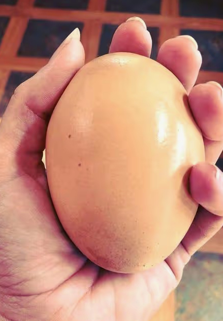 ������� ������� ���� - ��� ������ �� ��������� ������� �������� - ��� ���� � ����� �������� ������ ����� � �� ������ ������ �������� �������� - ��� �������� ���������, ������� ����� � ������� ����� - ����