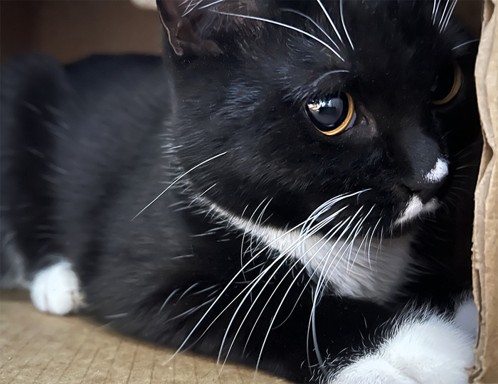 �������� ���� �����