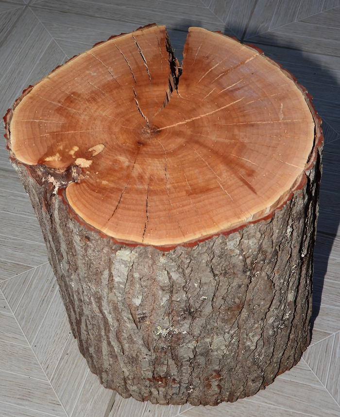 ��������� ��� ������. ��������� ������������� ����� ��� ���.