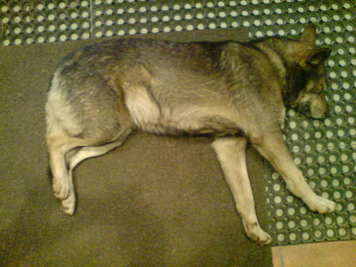 ������ ������ ������ �� ������