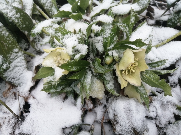 27 �������. �����,����. � � ���� �� ������ ����� ����� �������� ����������