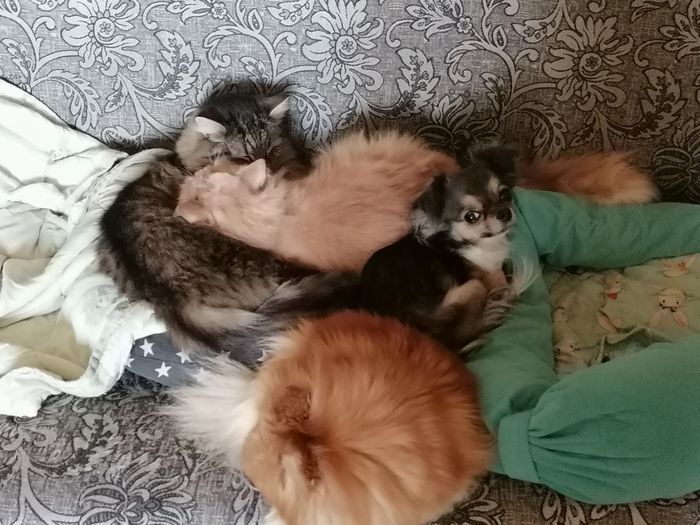 ������ � ������� - ����. ������ � ����� - ���� ������.