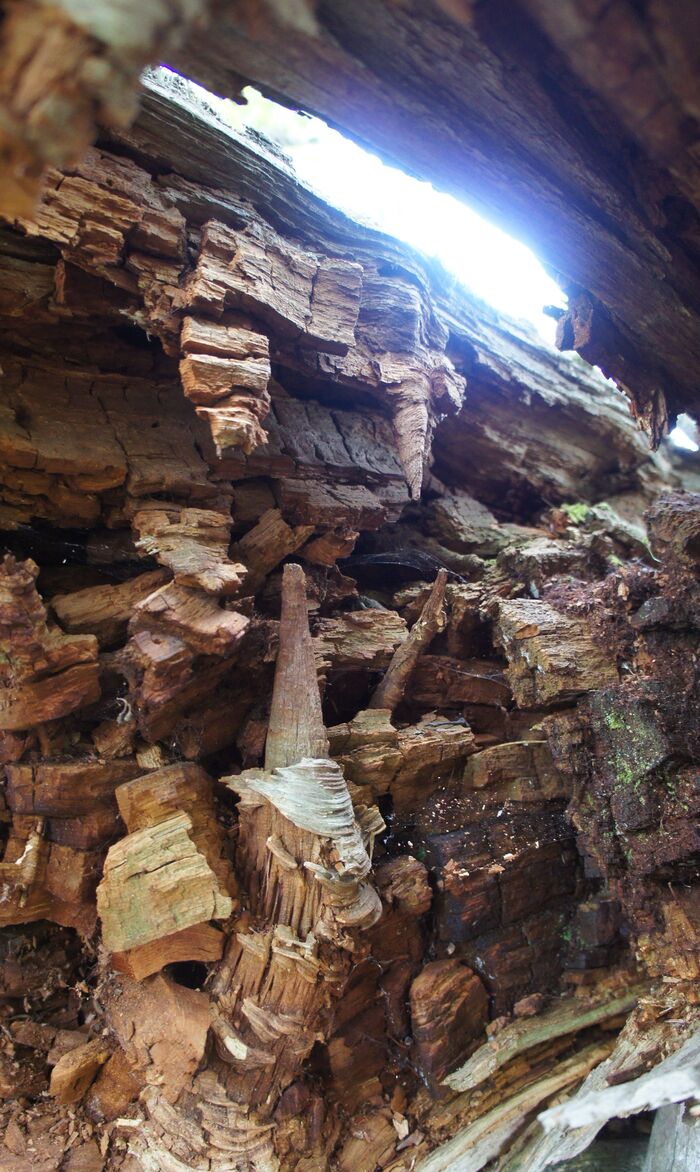Кто был в пещерах, увидит сходство.
