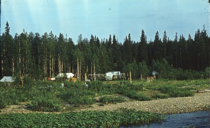 ������� ������ �� ���������.