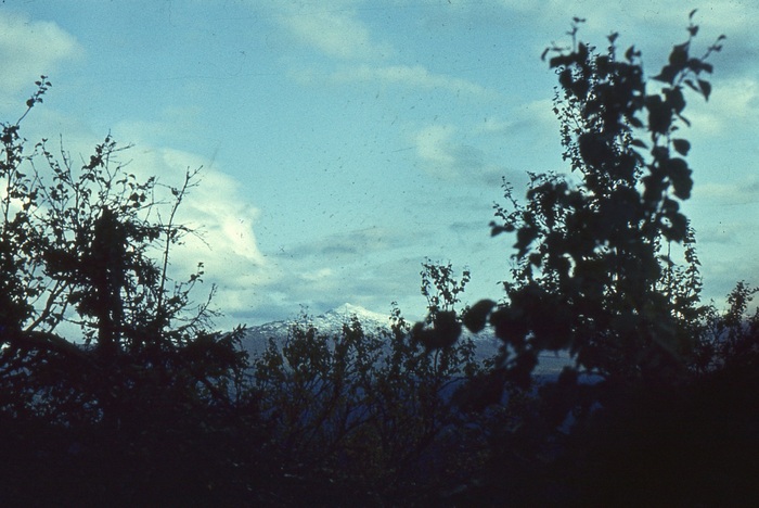 ������-����� - ���������� ����. ����� ��-��������� ������ - ������ ����.