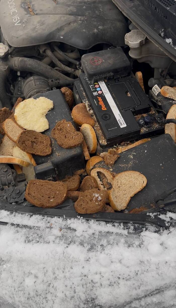 Еще одна фобия в копилку автовладельцев