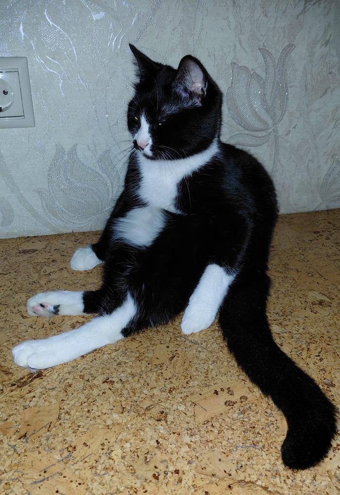 ����� �������