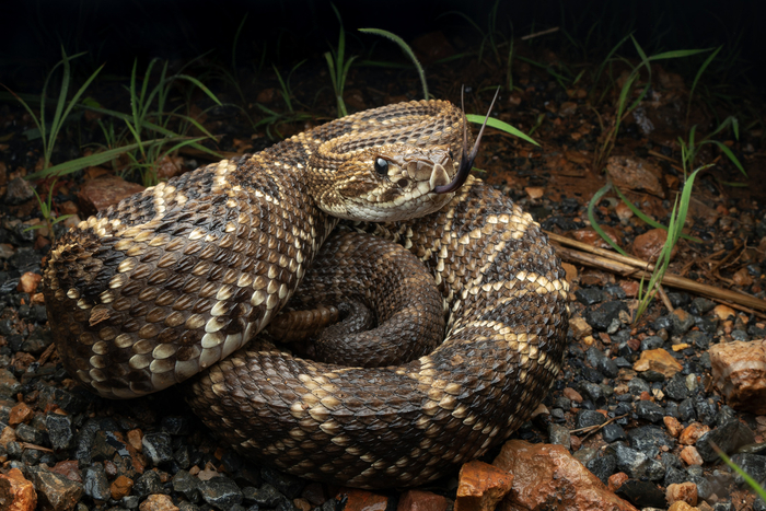 �� ��� ��, ����, ������, ����� � ����������� ����� �����������? ���, ��� ����, ����� ����� �� ���������� �� ������.