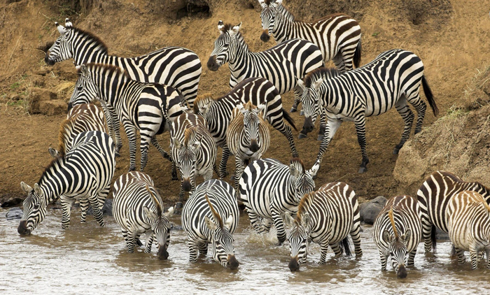 � ������ �����...