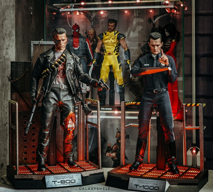 ������� ����������