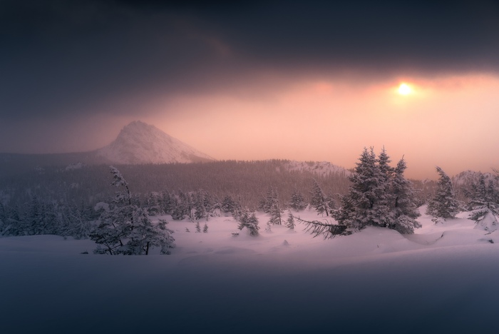 ������ ���� ����� ���������