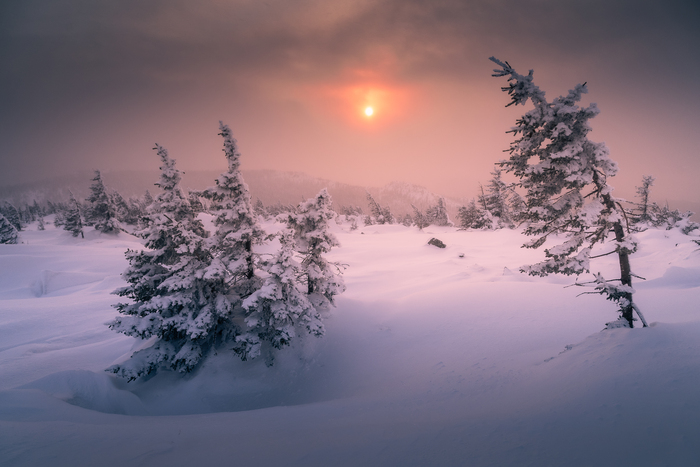 �� ������ ��������