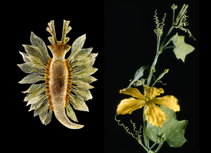 ������ ����������� ����� ����� �������� � ������� ������ ������ � ����� � ������: � ��� ������� �� ���� ��������