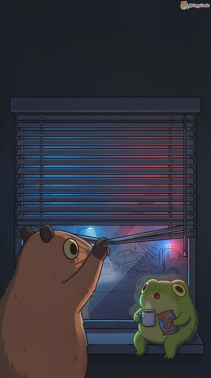 ���� ������ ����