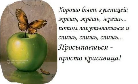 ������ ���� ��������� ���� ���� ���� ������������� ����� ����� ����� ������������ ���������