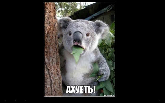 �������-�� �����...