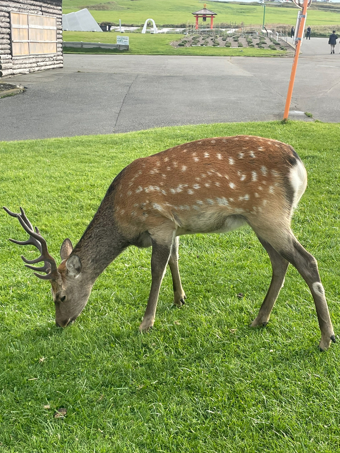 ����� �� ������. �� ���� ��� ��� ��� �������� ����.