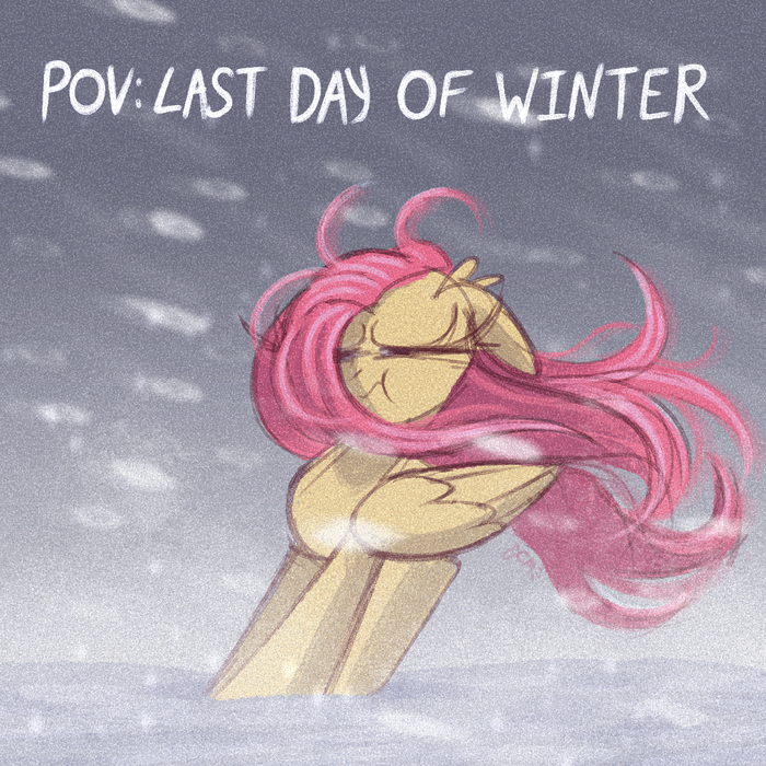 ��������� ���� ����