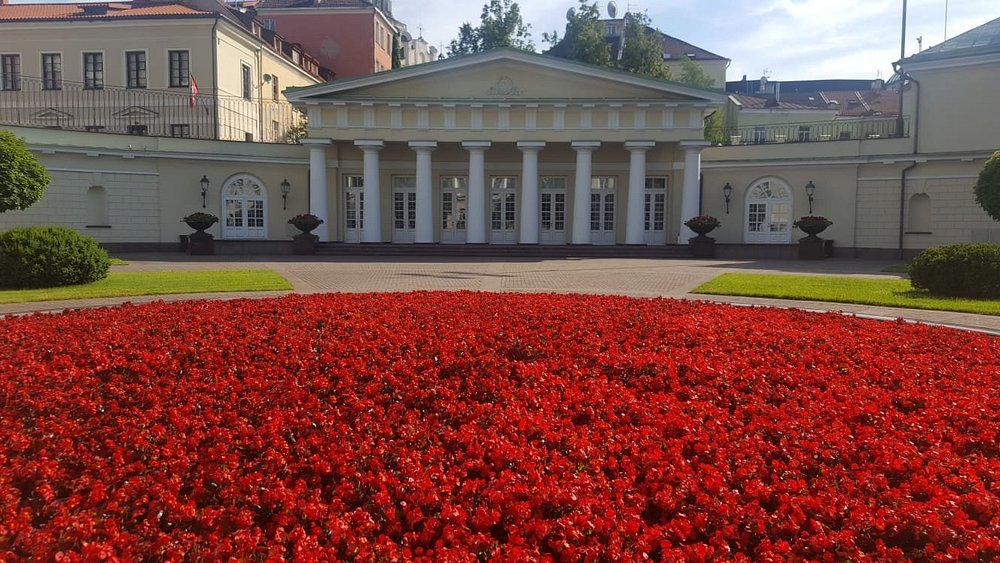 Confession of the Palace on Daukantas Square - Series Castles fortresses palaces, My, Castle, Lithuania, Vilnius, State institution, Travels, Longpost