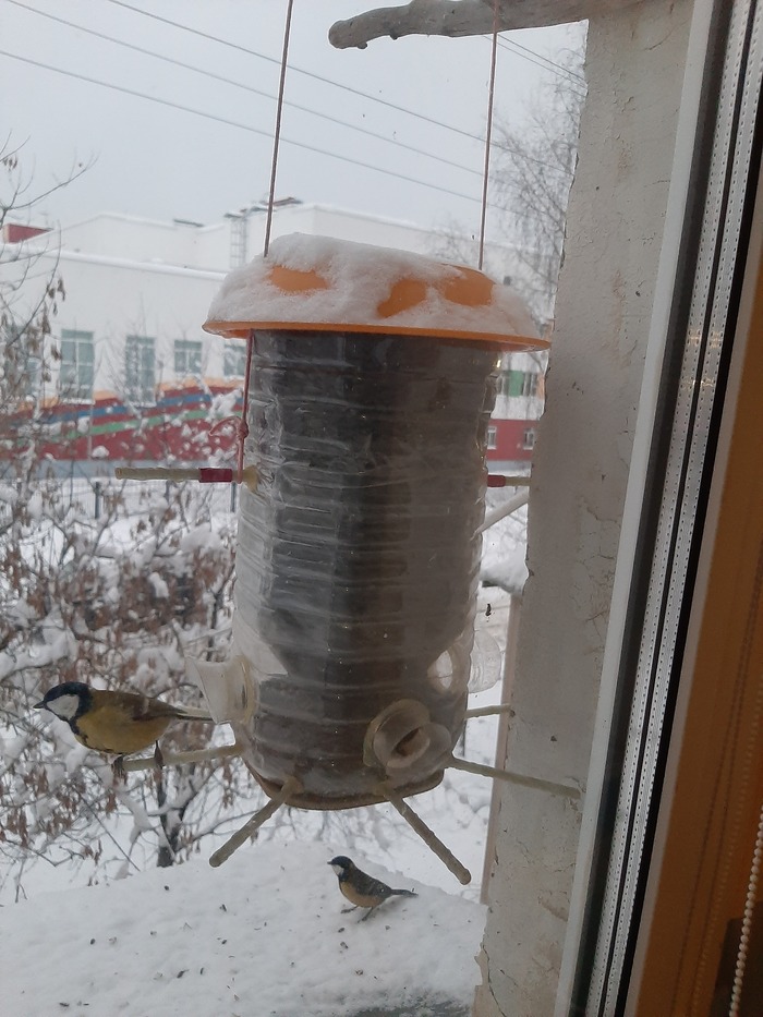 �������, ���������, �� ������)