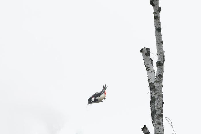 ����� ������, �� ��� �� �����