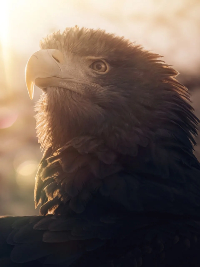 ������. ����: Tertix