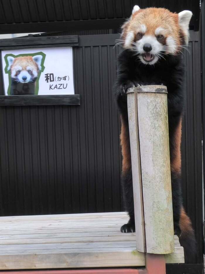 �������� �� ����������� ��������� ��������� ����� ������������