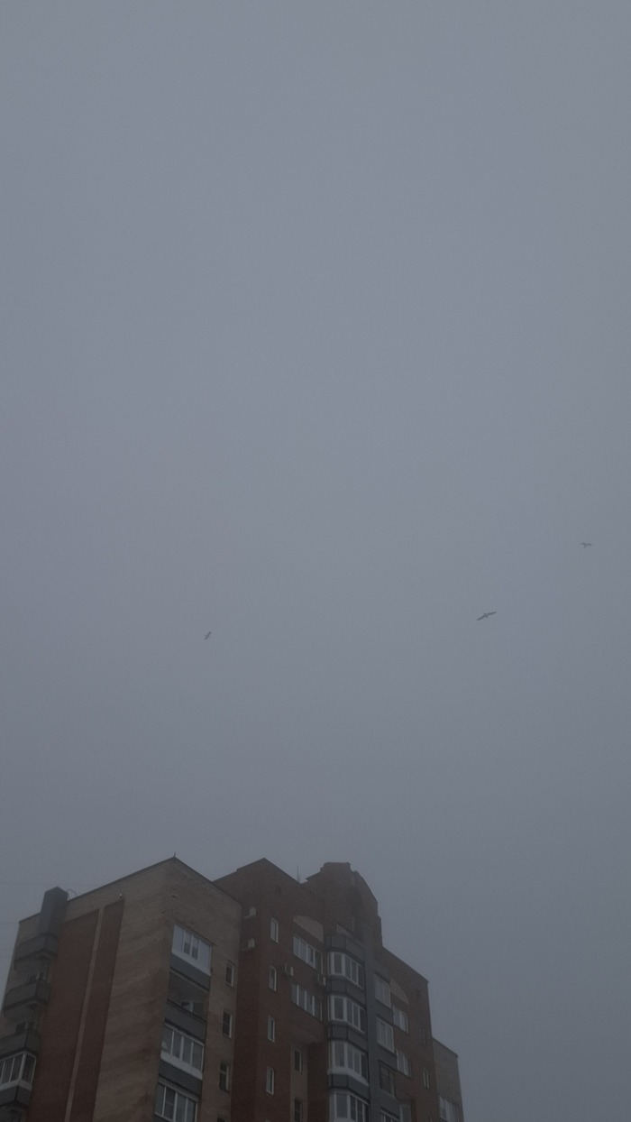 ������ ������