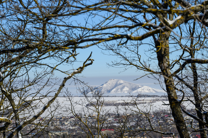 ���� ���