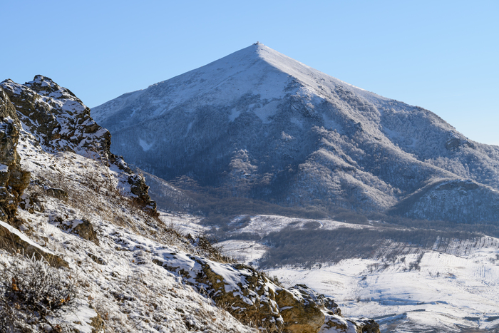 ���� ������